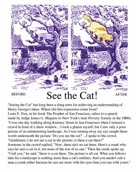 See the cat