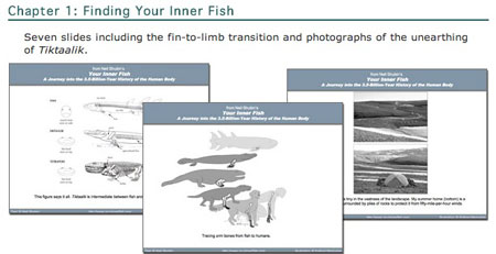 Your Inner Fish