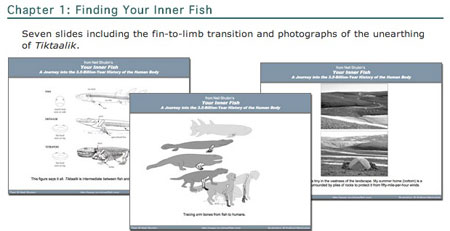 Your Inner Fish